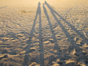 Searching for Precious Metals 8