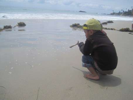 mami day beach fun 12