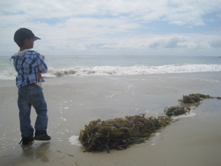mami day beach fun 15