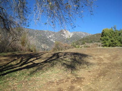 Apple Picking in Oak Glen 23