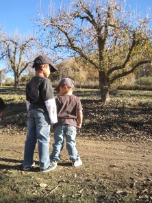 Apple Picking in Oak Glen 24