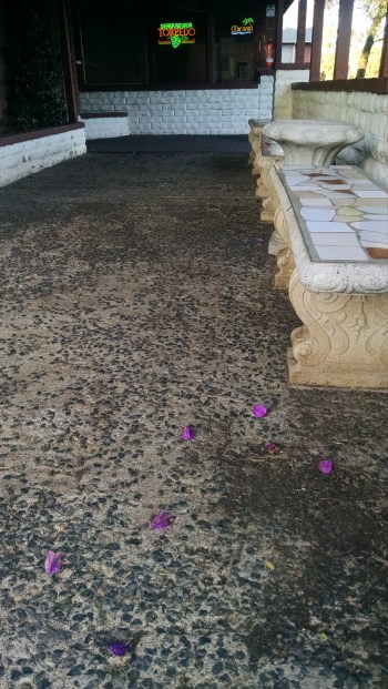 Hernandez Hideaway 4