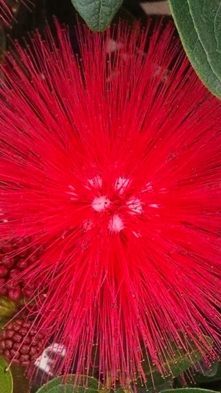 IMG_20150129_140520525