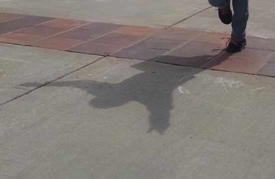 IMG_20150221_124728786