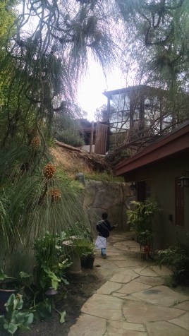 IMG_20150221_161802861