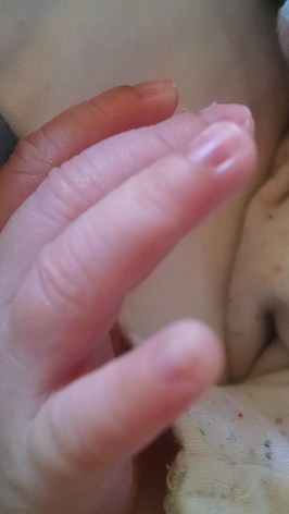 IMG_20150303_145242531