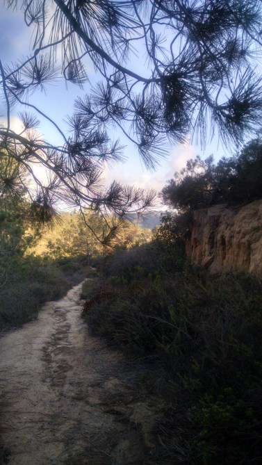 IMG_20150722_184143045_HDR