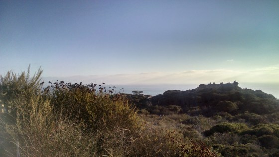 IMG_20150727_185920663_HDR