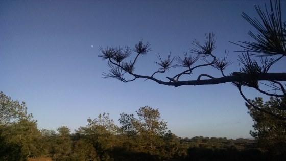 IMG_20150727_190124357