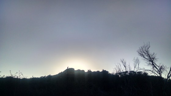 IMG_20150727_190711370_HDR