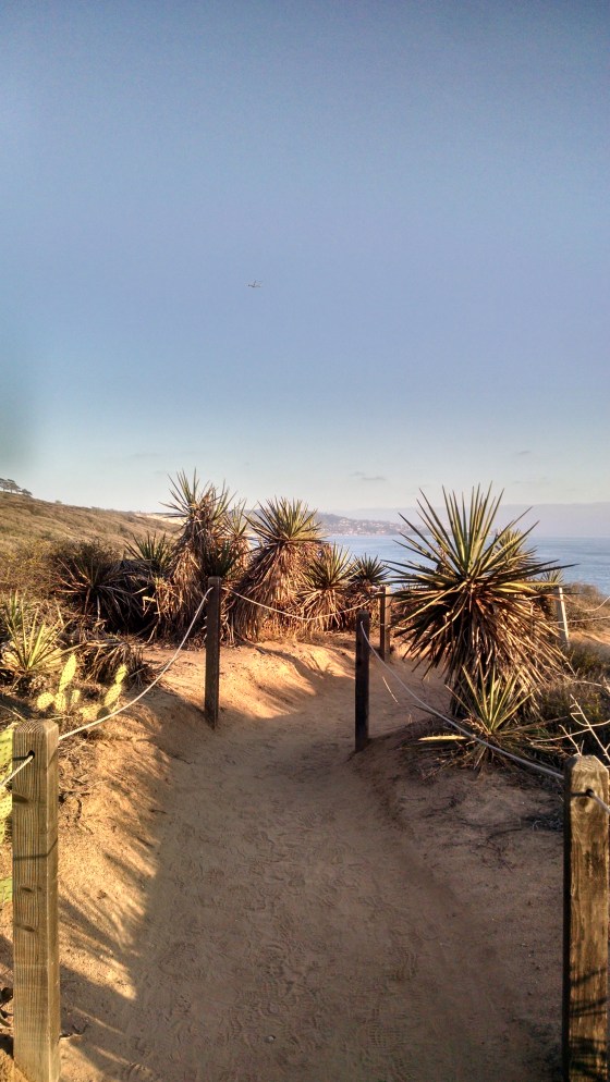 IMG_20150727_191928184_HDR