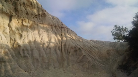 IMG_20150803_184920044