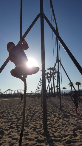 Trapeze Artists 8