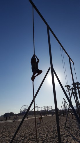 Trapeze Artists
