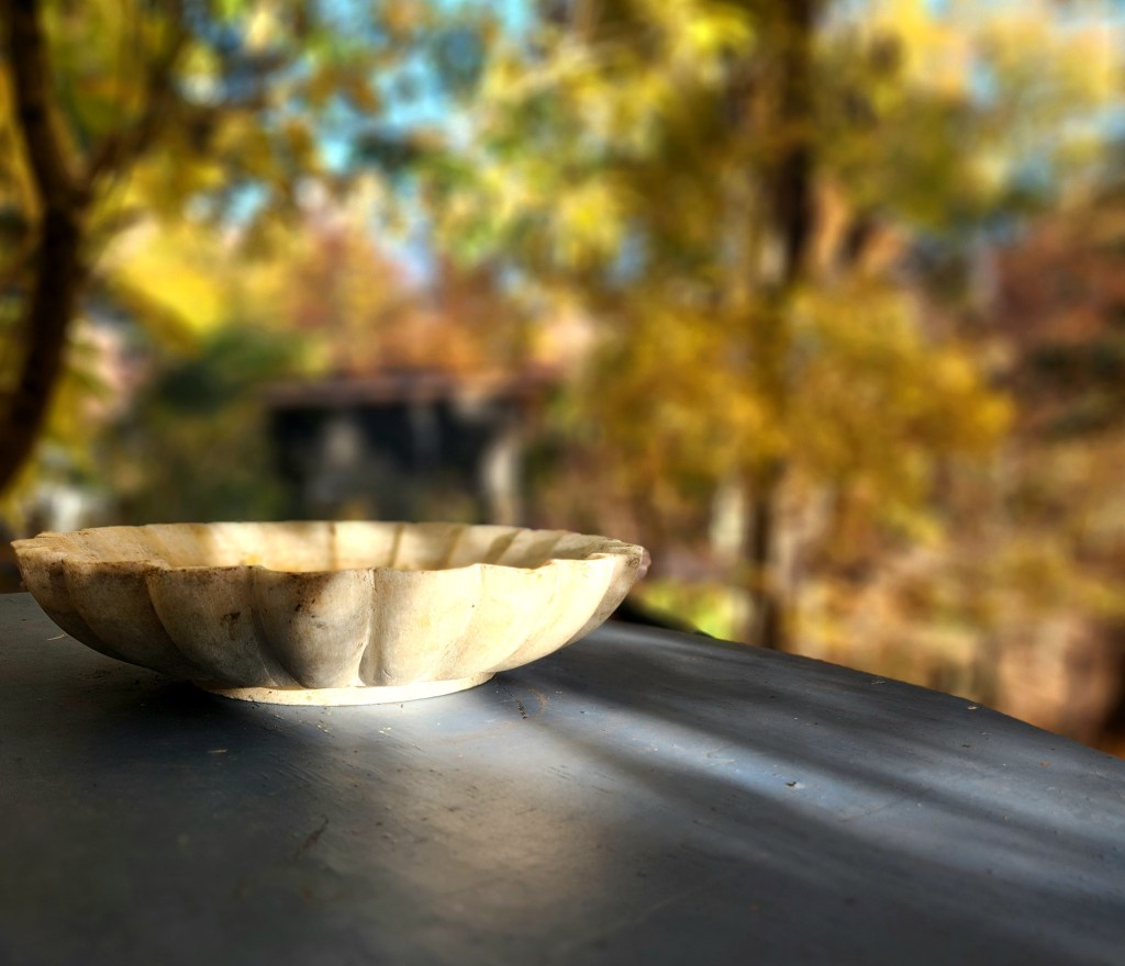 This Golden-Tawny Invasion